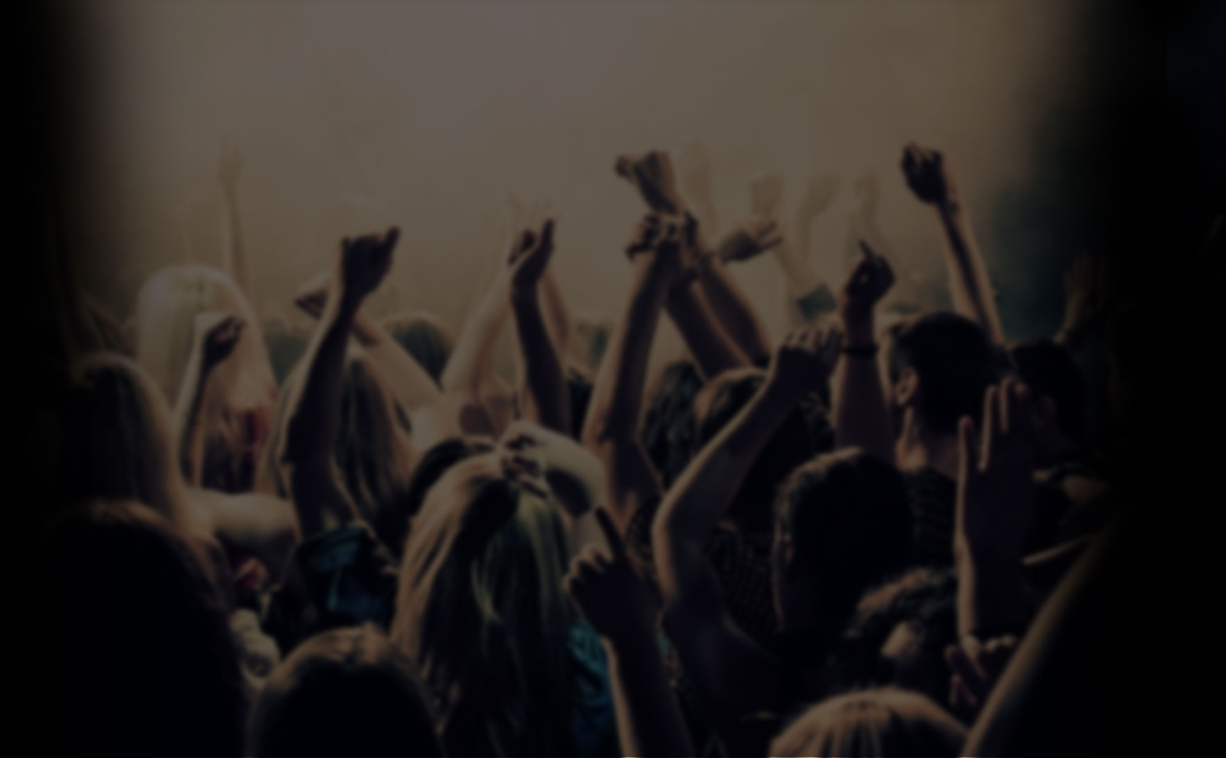 Party crowd